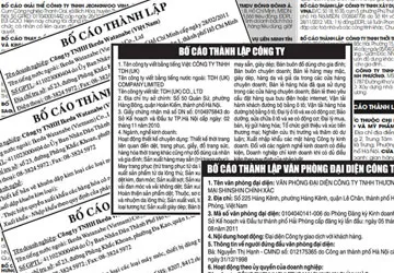 DN lúng túng với bố cáo điện tử ảnh 1 DN lúng túng với bố cáo điện tử ảnh 1