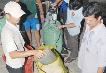 Giáo sư Võ Tòng Xuân: Độc quyền, giá gạo sẽ còn rớt thê thảm ảnh 1