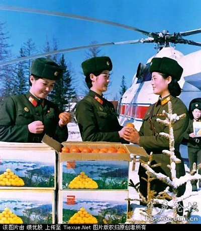 Hệ thống quân hàm trong quân đội Bắc Triều Tiên ảnh 5