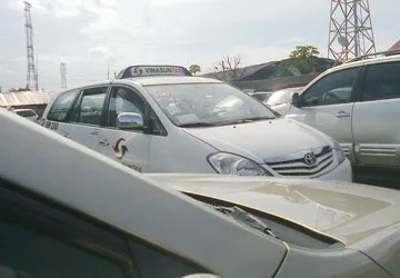 Một ngày ở trường gà cầu Ván ảnh 2