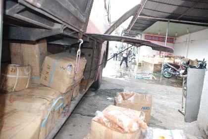 “Mông má” heo nái thành heo… rừng! ảnh 5