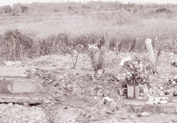 Kỷ niệm tác nghiệp: Vào pháp trường, điều tra nạn trộm xác ảnh 1