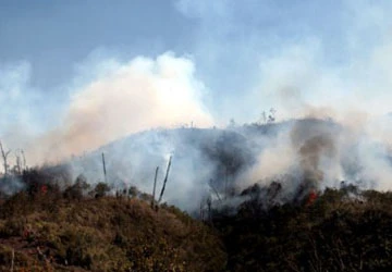 Sa Pa cháy rừng dữ dội hơn 50 giờ chưa thể dập tắt ảnh 1