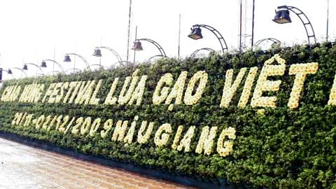 Festival Lúa Gạo: “Cháy” phòng, giá tăng chóng mặt ảnh 1