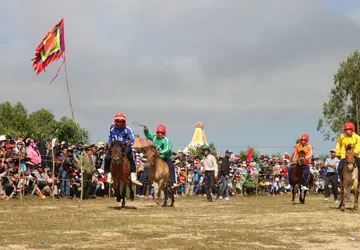 Hàng vạn người thưởng lãm hội đua ngựa truyền thống ảnh 1 Hàng vạn người thưởng lãm hội đua ngựa truyền thống ảnh 1