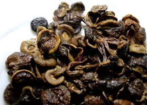 Nấm búp đã ngâm nước. Ảnh: Lam Phong. Nấm búp đã ngâm nước. Ảnh: Lam Phong.