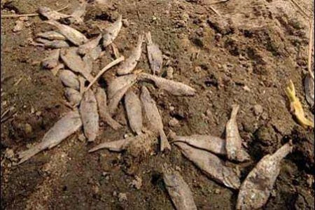 8 hiện tượng thiên nhiên hiếm thấy ảnh 10