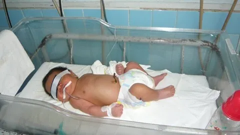 Sơ sinh nghi bị mẹ bóp mũi vứt vào thùng rác ảnh 1