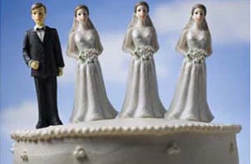 Chồng hay "loài cầm thú"? ảnh 1