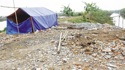 Luật sư Nguyễn Duy Minh bào chữa cho ông Vươn ảnh 1