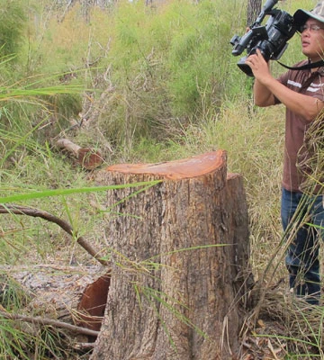 Vườn quốc gia Yok Đôn sắp rỗng ruột ảnh 2 Vườn quốc gia Yok Đôn sắp rỗng ruột ảnh 2