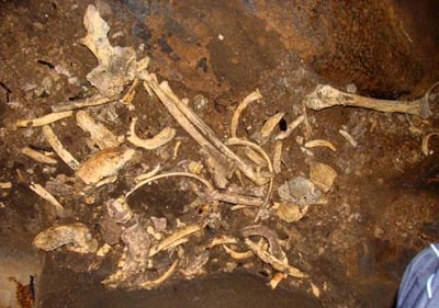 Bài 1: Hành trình thám hiểm kho xương khổng lồ trong lòng núi ảnh 7