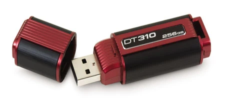 Thẻ USB DataTraveler 310 có dung lượng tới 256 GB ảnh 1