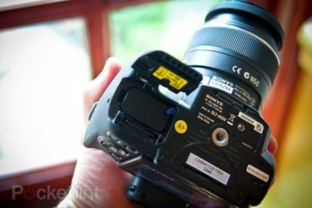 Bộ đôi A55 và A33 của Sony qua ảnh ảnh 11 Bộ đôi A55 và A33 của Sony qua ảnh ảnh 11