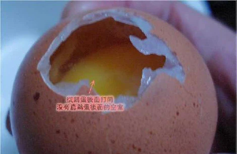 Rao bán công nghệ trứng gà giả Trung Quốc: Quảng cáo liều! ảnh 1