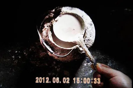 Đột nhập “công nghệ” trồng táo đẹp và độc của Trung Quốc ảnh 8 Đột nhập “công nghệ” trồng táo đẹp và độc của Trung Quốc ảnh 8