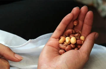 Phóng sự ảnh: Hoài niệm "bia hơi" Hà Nội ảnh 6