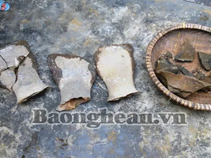 Đào giếng phát hiện xương hóa thạch khổng lồ ảnh 3