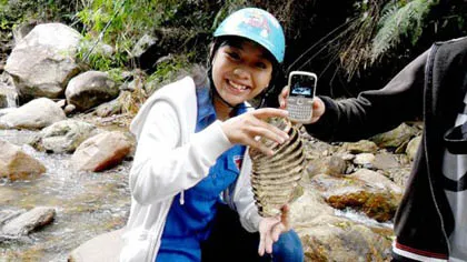 Phát hiện răng voi hóa thạch ngàn năm tuổi? ảnh 1