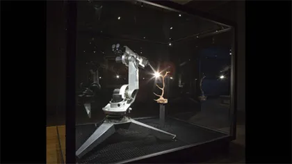 Triển lãm các cô gái tắm khỏa thân ở Anh ảnh 3