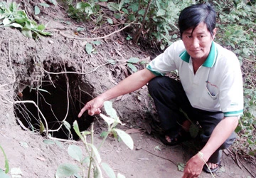 An Giang: Xuất hiện rắn khổng lồ ở Bảy Núi (?) ảnh 1