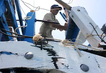 Tàu Trung Quốc lại truy đuổi ngư dân VN ảnh 1 Tàu Trung Quốc lại truy đuổi ngư dân VN ảnh 1