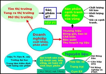GS Võ Tòng Xuân và mô hình liên kết bốn nhà ảnh 2 GS Võ Tòng Xuân và mô hình liên kết bốn nhà ảnh 2