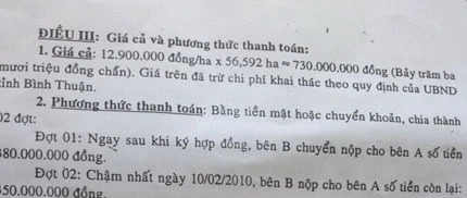 Bán rừng ngân sách thấp hơn giá thành ảnh 3