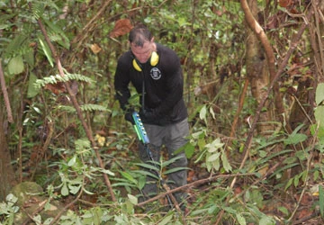 Dự án thẻ bài của JPAC ảnh 1 Dự án thẻ bài của JPAC ảnh 1