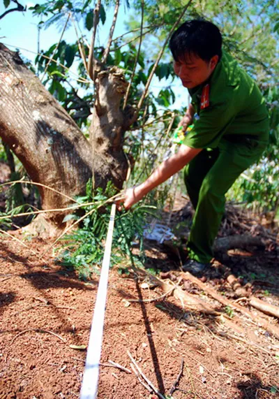 Thực nghiệm hiện trường vụ chó cắn chết người ảnh 3 Thực nghiệm hiện trường vụ chó cắn chết người ảnh 3
