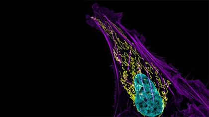 10 ảnh chụp cận cảnh đẹp nhất năm 2012 ảnh 8