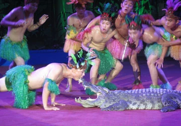 Thú xiếc và nghề dạy thú ảnh 1 Thú xiếc và nghề dạy thú ảnh 1