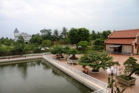 Vỡ trận “siêu cây triệu đô”, đại gia đi nuôi vịt ảnh 2