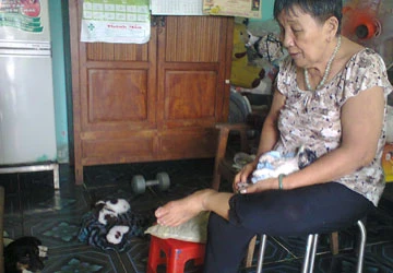 Thực hiện 5 không khi nuôi chó, mèo ảnh 1