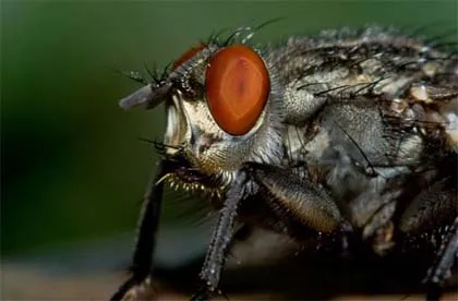 Khi nào dùng lấy nét tay ảnh 1 Khi nào dùng lấy nét tay ảnh 1