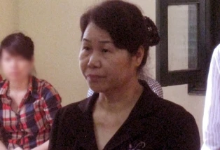 Nữ giám đốc lừa đảo lĩnh án chung thân ảnh 1