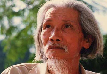 Hữu Loan - cây gỗ vuông màu tím ảnh 1