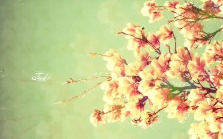 Đẹp ngỡ ngàng bộ sưu tập hình nền “mùa xuân” ảnh 22