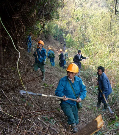 Cháy khoảng 100 ha rừng ở Vườn quốc gia Hoàng Liên ảnh 2