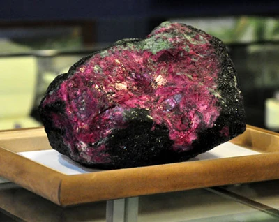 Cuộc đấu giá từ thiện bị biến thành trò đùa ảnh 1