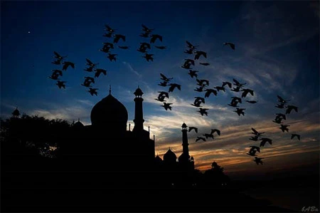 6 bước chụp ảnh ngược sáng silhouette ảnh 5