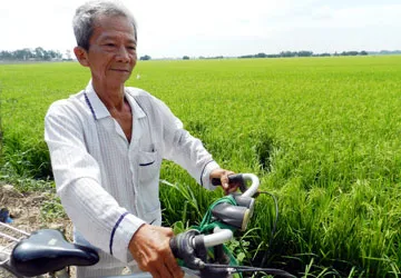 Trần ai “con kiến” kiện “củ khoai” - Bài 4: 18 năm đạp xe đòi đất ảnh 1