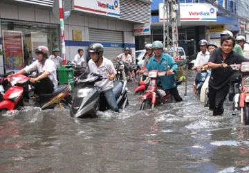 Đê biển, đê sông và núi tiền chống ngập - Bài 2: Đê biển thay đê sông? ảnh 1