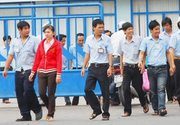 Thí điểm bảo hiểm hưu trí bổ sung ảnh 1