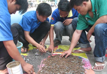 Vụ "đinh tặc" bị bắt quả tang ở Bình Dương: Chưa có hậu quả, khó xử lý ảnh 1