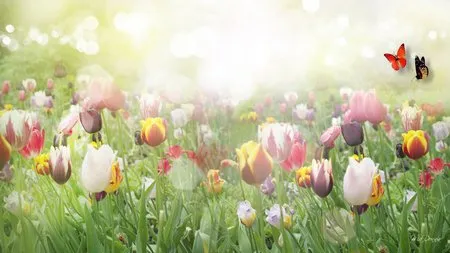 Đẹp ngỡ ngàng bộ sưu tập hình nền “mùa xuân” ảnh 17