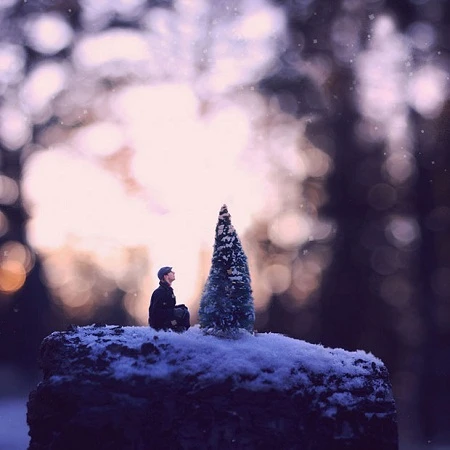 Thú vị bộ ảnh cuộc phiêu lưu của "người tí hon" ảnh 2