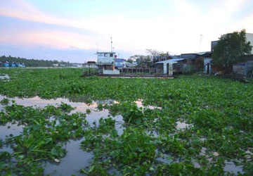 Cùng lên tiếng vì sự sống còn của chúng ta ảnh 2