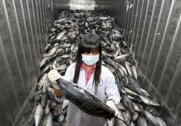 Tìm thấy phóng xạ ở nhiều nước ảnh 1 Tìm thấy phóng xạ ở nhiều nước ảnh 1