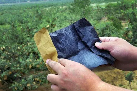 Đột nhập “công nghệ” trồng táo đẹp và độc của Trung Quốc ảnh 3 Đột nhập “công nghệ” trồng táo đẹp và độc của Trung Quốc ảnh 3